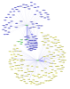 Richard Wrangham
William Hamilton
node: author
edge: coauthor Richard Wrangham
William Hamilton
node: author
edge: coauthor