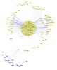 John Hawks
Bruce T. Lahn
node: author
edge: coauthor John Hawks
Bruce T. Lahn
node: author
edge: coauthor